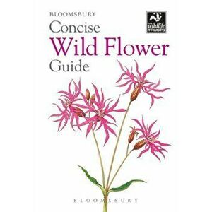 Concise Wild Flower Guide, Paperback - *** imagine