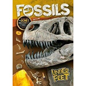 Fossils, Hardback - Kirsty Holmes imagine
