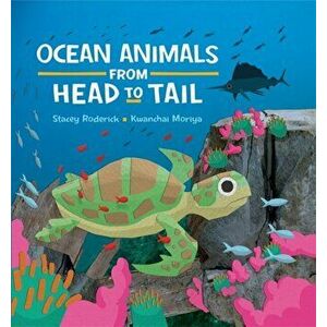 Ocean Animals from Head to Tail, Paperback - Stacey Roderick imagine