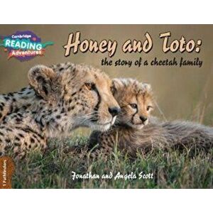 Honey and Toto: The Story of a Cheetah Family 1 Pathfinders, Paperback - Jonathan And Angela Scott imagine