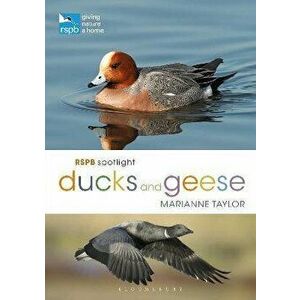 RSPB Spotlight Ducks and Geese, Paperback - Marianne Taylor imagine