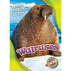 Walruses, Hardback - Kari Schuetz imagine