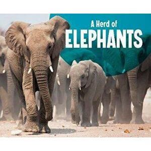 Herd of Elephants, Hardback - Amy Kortuem imagine