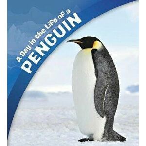 Day in the Life of a Penguin, Paperback - Sharon Katz Cooper imagine