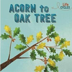 Life Cycles: Acorn to Oak Tree, Paperback - Rachel Tonkin imagine