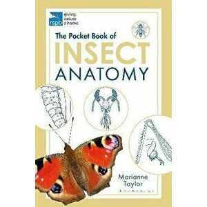 Pocket Book of Insect Anatomy, Paperback - Marianne Taylor imagine