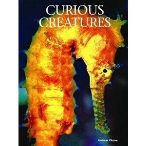 Curious Creatures, Hardback - Andrew Cleave imagine