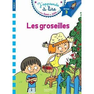 Sami Et Julie Cp Niveau 3 Les Groseilles, Paperback - Therese Bonte imagine
