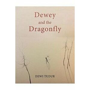 Dewey and the Dragonfly, Hardcover - Dewi Tudur imagine