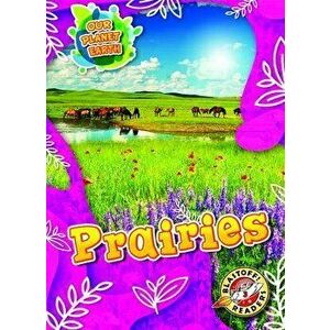 Prairies, Paperback - Karen Kenney imagine