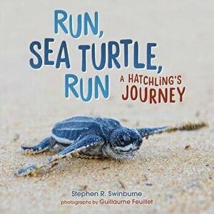 Run, Sea Turtle, Run: A Hatchling's Journey, Library Binding - Stephen R. Swinburne imagine