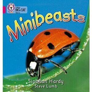 Minibeasts. Band 01a/Pink a, Paperback - Siobhan Hardy imagine