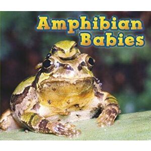 Amphibian Babies, Paperback - Catherine Veitch imagine