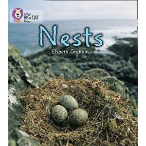 Birds Build Nests, Paperback imagine