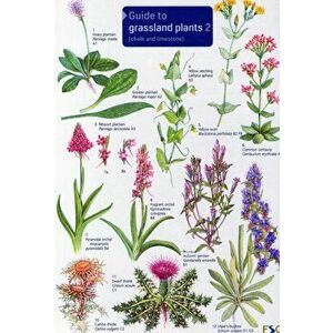 Guide to Grassland Plants 2. Chalk and Limestone, Chalk and Limestone - Anne Bebbington imagine