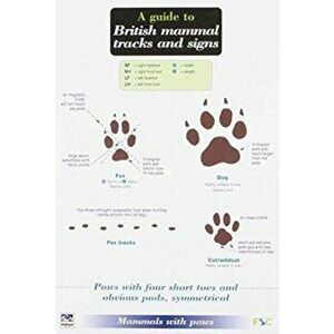 A Guide to British Mammal Tracks and Signs, Paperback - Simone Bullion imagine