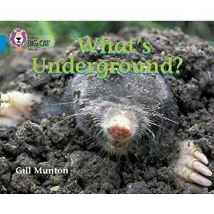 What's Underground. Band 04/Blue, Paperback - Gill Munton imagine