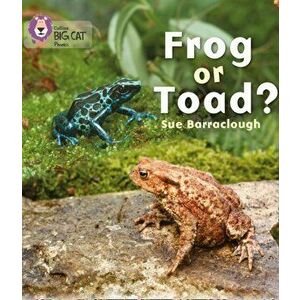 Frog or Toad?. Band 03/Yellow, Paperback - Sue Barraclough imagine
