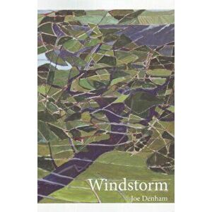 Windstorm, Paperback - Joe Denham imagine