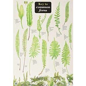 Key to Common Ferns - James Merryweather imagine