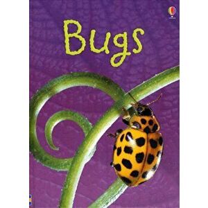 Bugs, Hardback - Lucy Bowman imagine