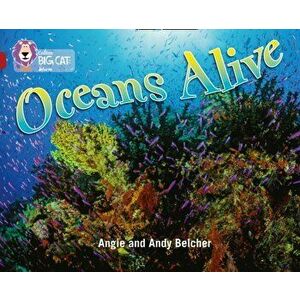 Oceans Alive. Band 14/Ruby, Paperback - Angie Belcher imagine
