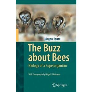 Buzz about Bees. Biology of a Superorganism, Hardback - Jurgen Tautz imagine