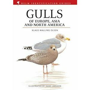 Gulls of Europe, Asia and North America, Hardback - Klaus Malling Olsen imagine