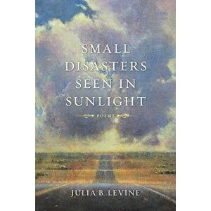 Small Disasters Seen in Sunlight, Paperback - Julia B. Levine imagine