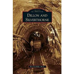 Dillon and Silverthorne, Hardcover - Roy Goodliffe imagine