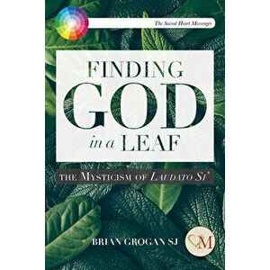 Finding God in a Leaf: The Mysticism of Laudato Si', Paperback - Brian Grogan imagine