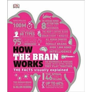 How the Brain Works. The Facts Visually Explained, Hardback - *** imagine