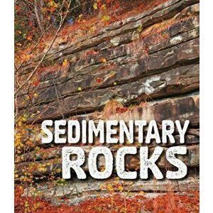 Sedimentary Rocks, Paperback - Ava Sawyer imagine