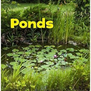 Ponds, Paperback - Erika L. Shores imagine
