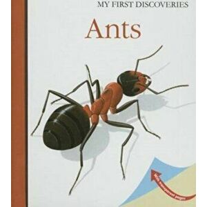 Ants, Hardback - Rene Mettler imagine