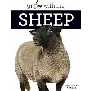 Sheep, Hardcover - Quinn M. Arnold imagine