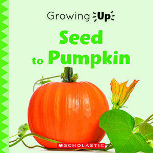 Seed to Pumpkin (Growing Up) (Library Edition), Hardcover - Sonia W. Black imagine