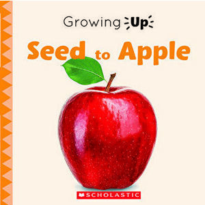 Seed to Apple (Growing Up) (Library Edition), Hardcover - Jodie Shepherd imagine