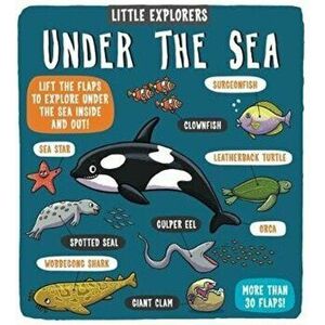 Little Explorers: Under the Sea, Hardback - Dynamo Ltd. imagine