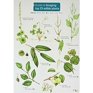 Guide to Foraging: Top 25 Edible Plants, Paperback - Clare Cremona imagine