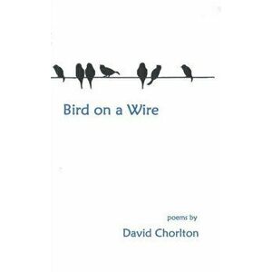 Bird on a Wire, Paperback - David Chorlton imagine