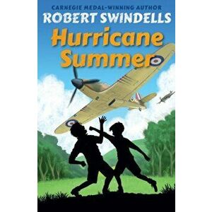 Hurricane Summer, Paperback - Robert Swindells imagine