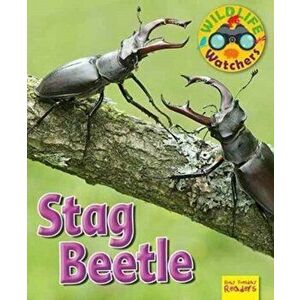 Wildlife Watchers: Stag Beetle, Paperback - Ruth Owen imagine