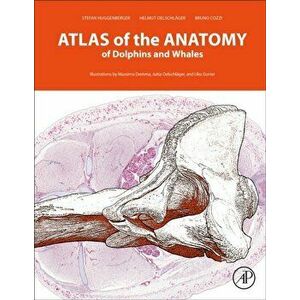 Atlas of the Anatomy of Dolphins and Whales, Hardback - Bruno Cozzi imagine