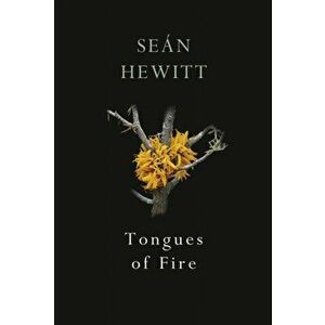 Tongues of Fire, Paperback - Sean Hewitt imagine