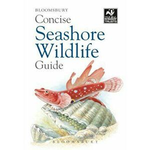 Concise Seashore Wildlife Guide, Paperback - *** imagine