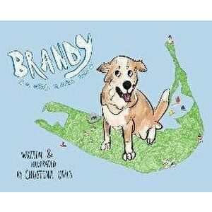 Brandy: A NiSHA Adoption Story, Hardcover - Christina Oates imagine