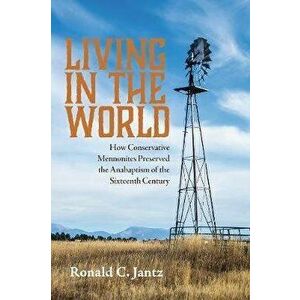 Living in the World, Paperback - Ronald C. Jantz imagine