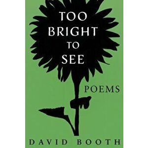Too Bright to See, Paperback - David Booth imagine