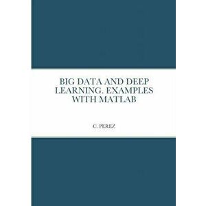 Big Data and Deep Learning. Examples with MATLAB, Paperback - C. Perez imagine